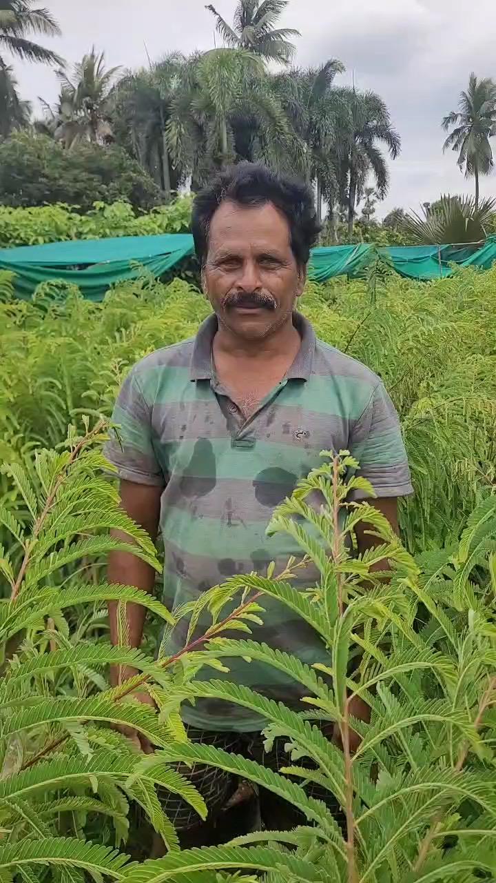 Chandrika Nursery