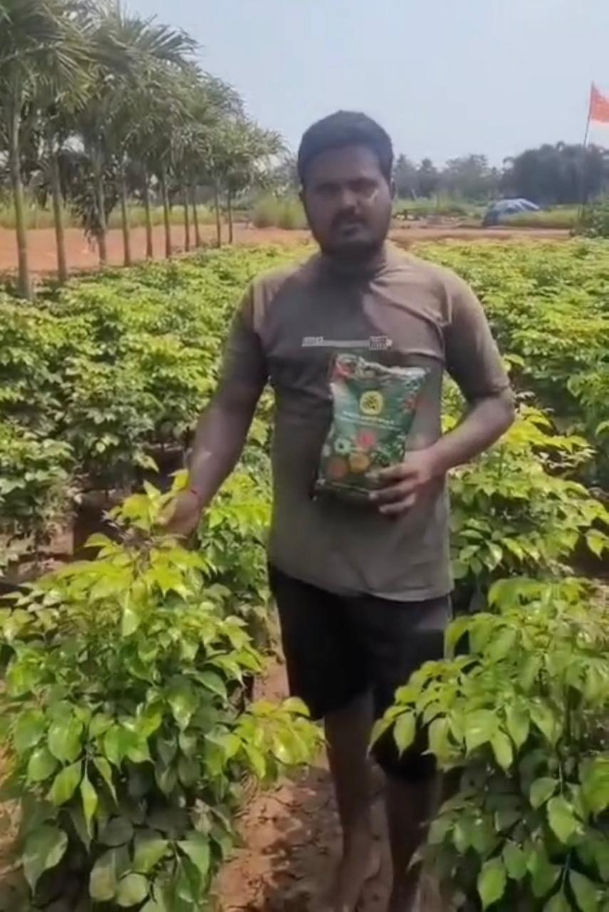 Manikanta Nursery